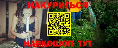сатива Новокубанск