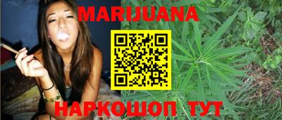 сатива Новокубанск