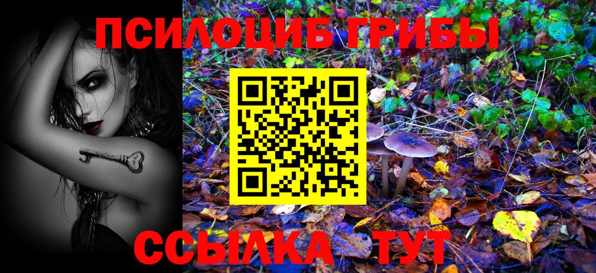 Аксай  Галлюциногенные грибы прущие грибы  Вход с VPN 