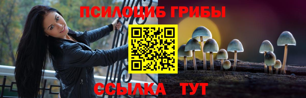 Псилоцибиновые грибы Cubensis Аксай