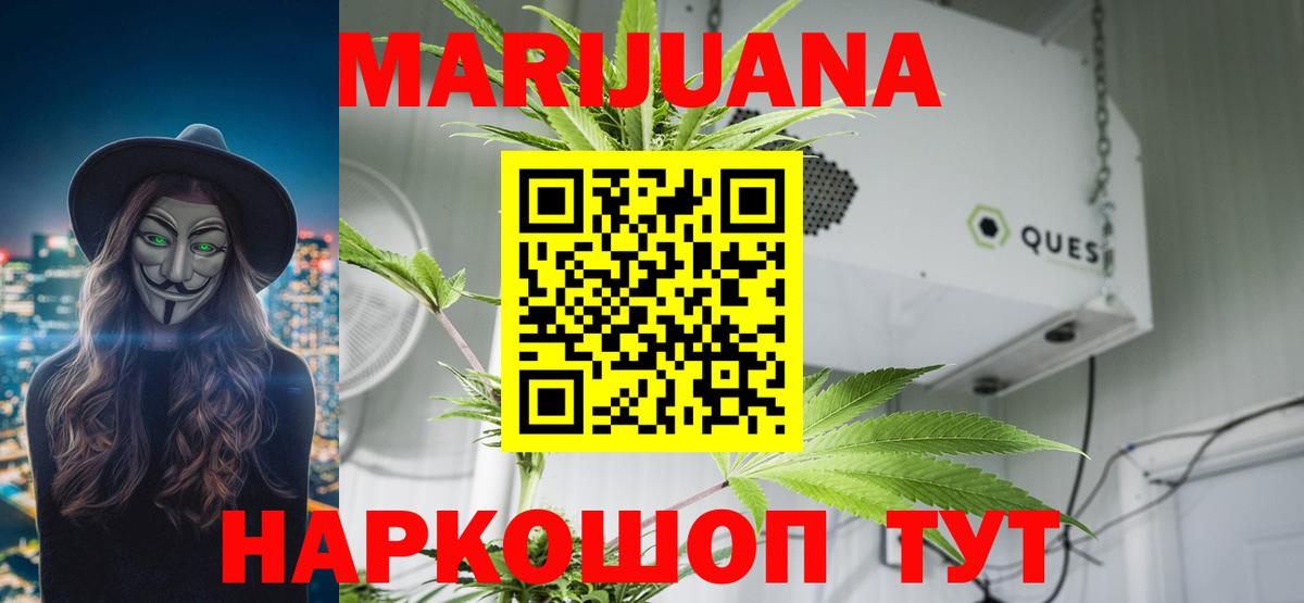 МАРИХУАНА сатива Аксай